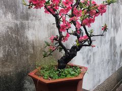 -王阳明故居