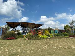 -上海长兴岛郊野公园