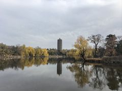 -北京大学赛克勒考古与艺术博物馆