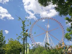 -石家庄市动物园