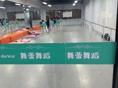 -舞蕾舞蹈(特长生校区)