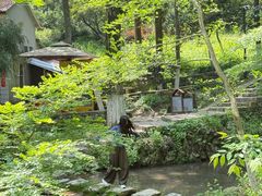 -莫干山风景区