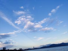 -深圳湾公园(南山区)