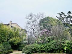 -上海崇明金茂凯悦酒店