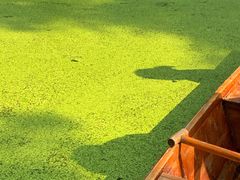 -渌洋湖湿地公园