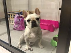 -香香春饼·非遗技艺(万达店)