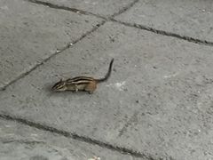 -茅兰沟国家森林公园