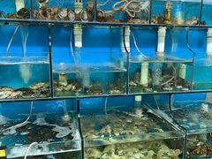 -天云活海鲜家菜馆·海鲜大咖(栈桥店)