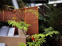 -北京植物园-展览温室