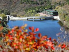 -北京西山国家森林公园