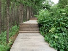 -驼梁风景区