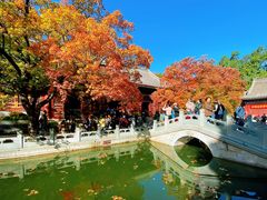 -香山公园