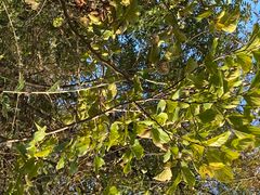 -南京中医药大学(仙林校区)