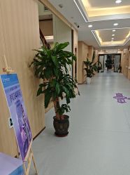 -上海伊莱美医疗美容医院