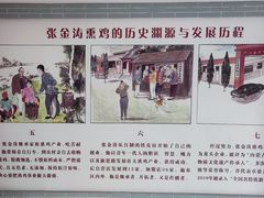 -张金涛熏鸡(人民南路店)