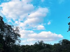 -杭州植物园