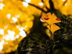 -辽东学院(南校区)