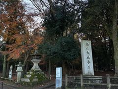 -奈良公园