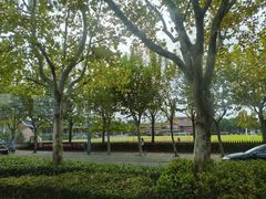 -上海德威外籍人员子女学校(浦东校区)