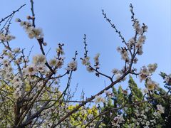 -白马涧龙池景区