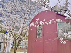 -新天地活力PARK