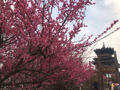 -杭州半山国家森林公园