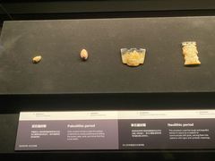 -深圳珠宝博物馆