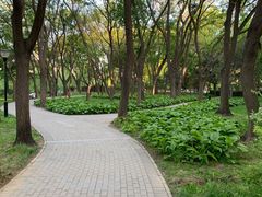 -玲珑塔公园