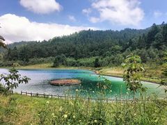-武陵山森林公园