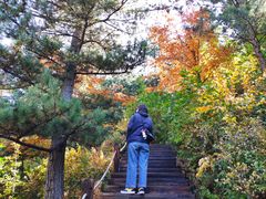 -塞罕坝国家级自然保护区