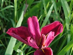 -昆山城市生态森林公园