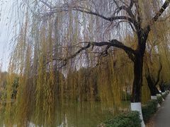 -西南交通大学(九里校区)