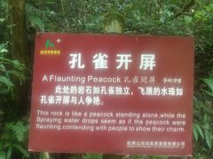 -山沟沟景区