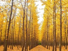 -寒同山神仙洞