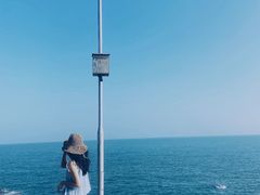 -广东惠东海龟国家级自然保护区