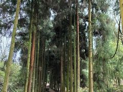 -青城山