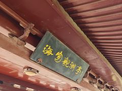 -观潮胜地公园