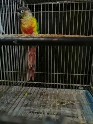 -日月刺青工作室·高端纹身