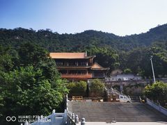 -南海湾森林生态园