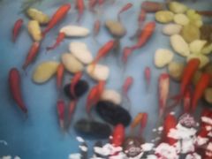 -欧亚达商业广场(红桥店)