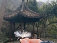 -九曜山
