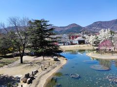 -国家植物园南园