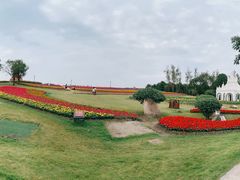 -杭州湾海上花田景区