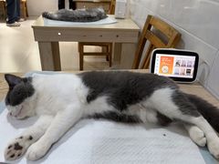 -瑞鹏宠物医院·骨外科·心肾科·肿瘤科(九亭店)