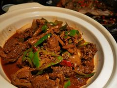 -吴满满油泼面(北方风味园店)