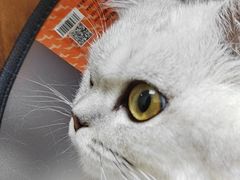 -宠颐生汉谟拉比宠物医院