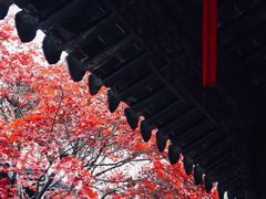 -拙政园