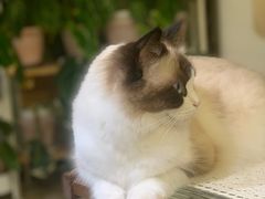 -Rabbit Cafe私房西餐甜点咖啡(栖霞路店)