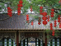 -顺峰山公园