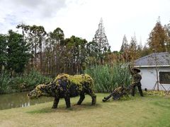 -上海长兴岛郊野公园